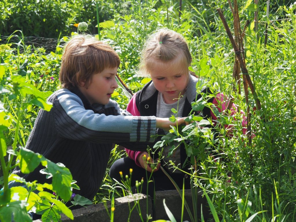 kinder im garten kreativgarten e.v.