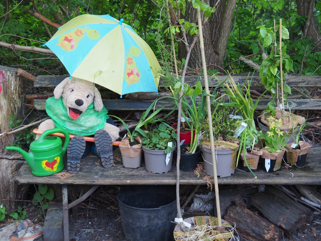 Neue Pflanzen und Plüschhund mit Schirm